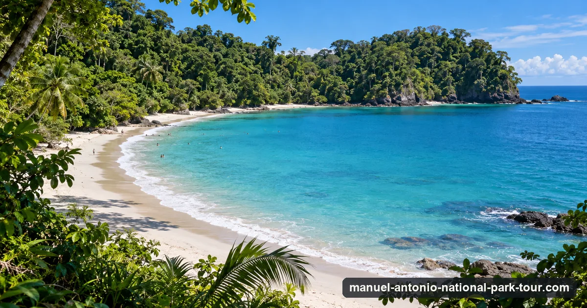 A white-sand cove framed by rainforest and calm turquoise water inside Manuel Antonio National Park, Costa Rica